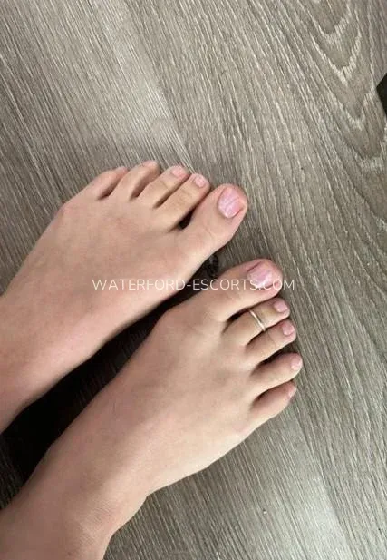 Waterford escorts Angelica — 4