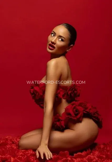 Waterford escorts Olivia — 6
