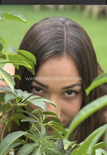 Waterford escorts Cynthia — 3