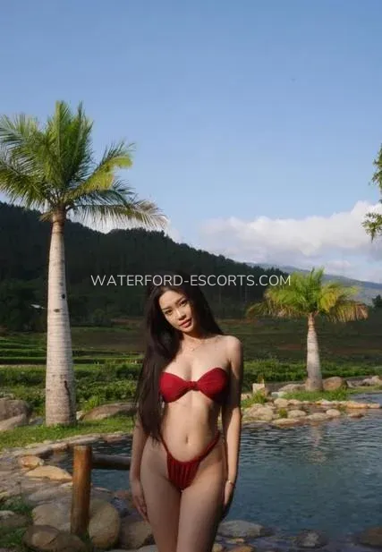 Waterford escorts Ann-christin — 7