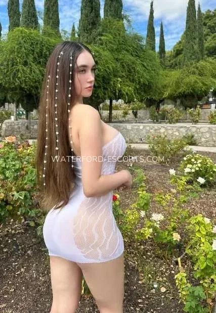 Waterford escorts Alexandria — 3