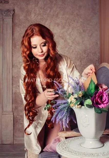 Waterford escorts Melissa — 4