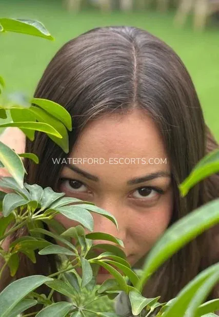 Waterford escorts Susanne — 1