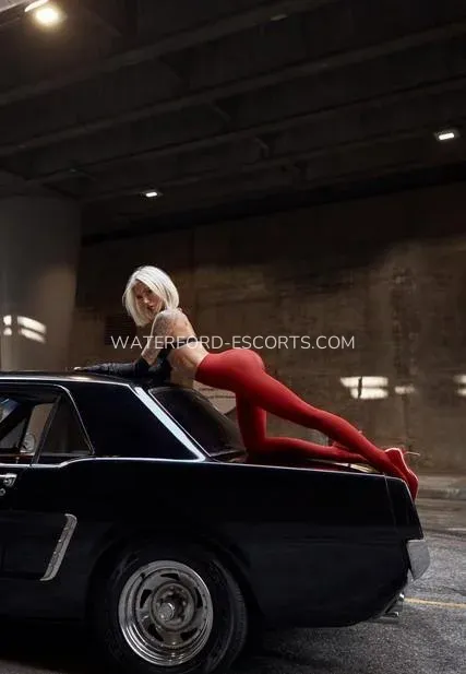 Waterford escorts Gabriela — 3