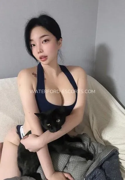 Waterford escorts Johanna — 3